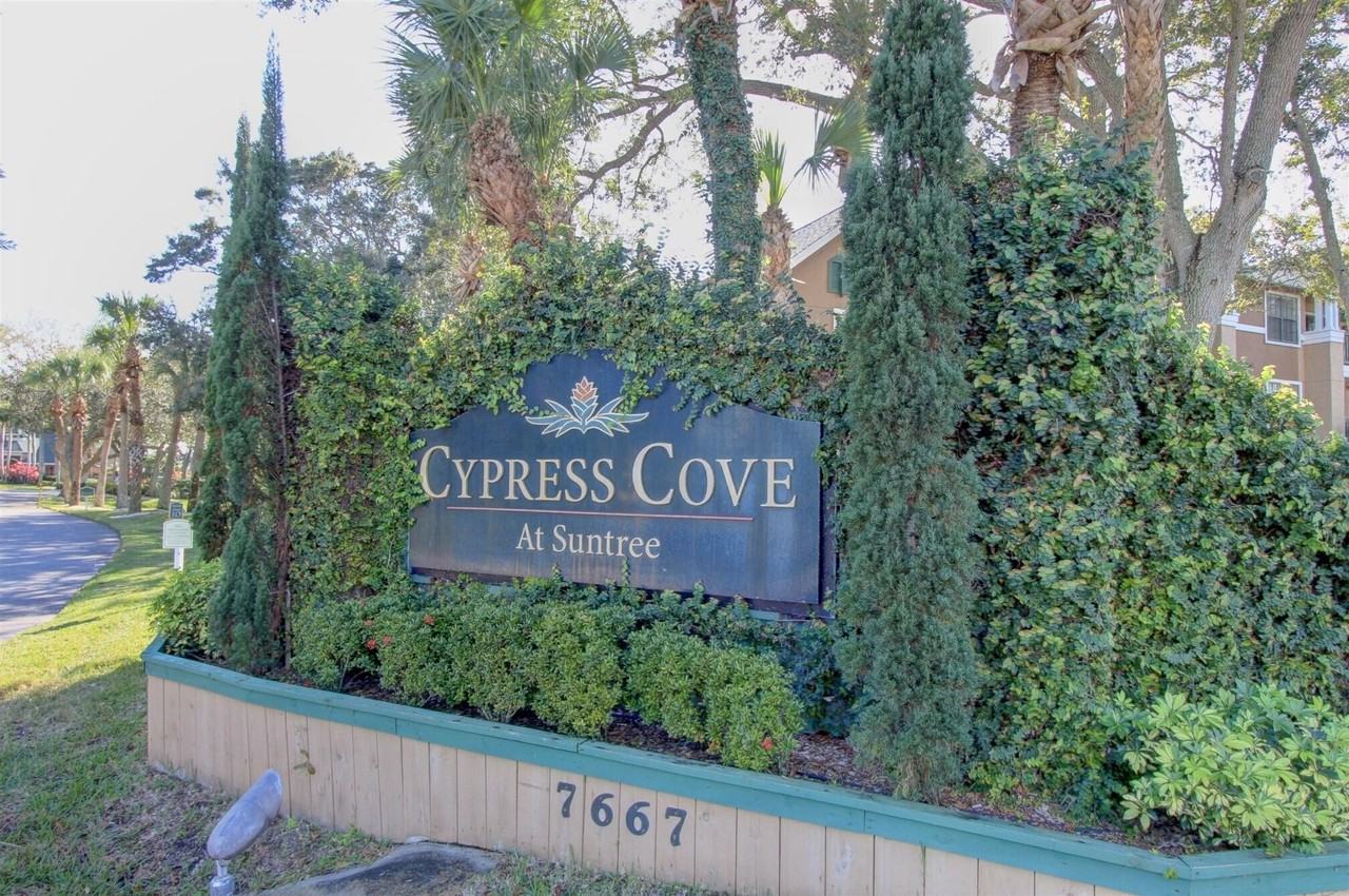 7667 N Wickham Rd Apt 506 - Photo 2 of 37