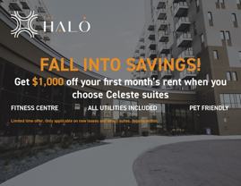 The Halo - Photo 1 of 1