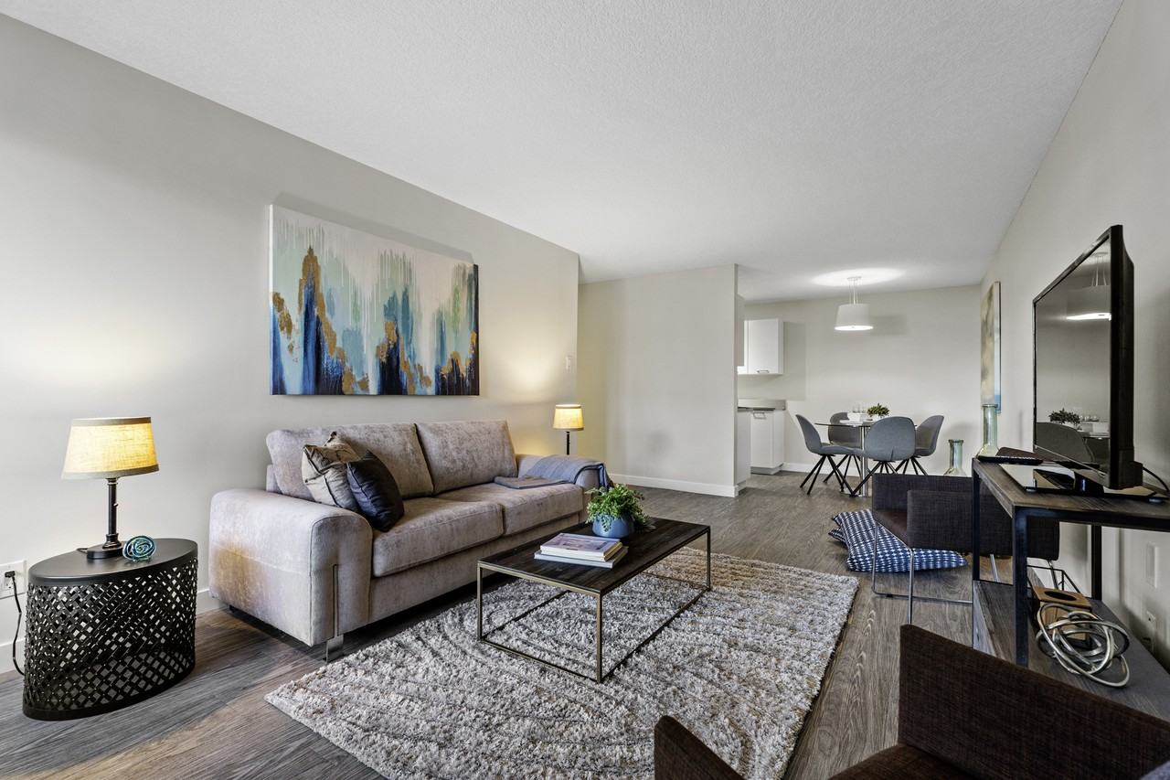 Elan - Photo 6 of 17