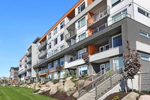 featured image of 575 Dogwood St S