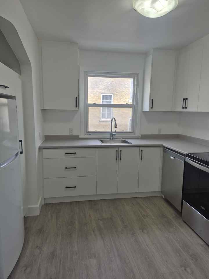 649 Rideau St - Photo 2 of 10