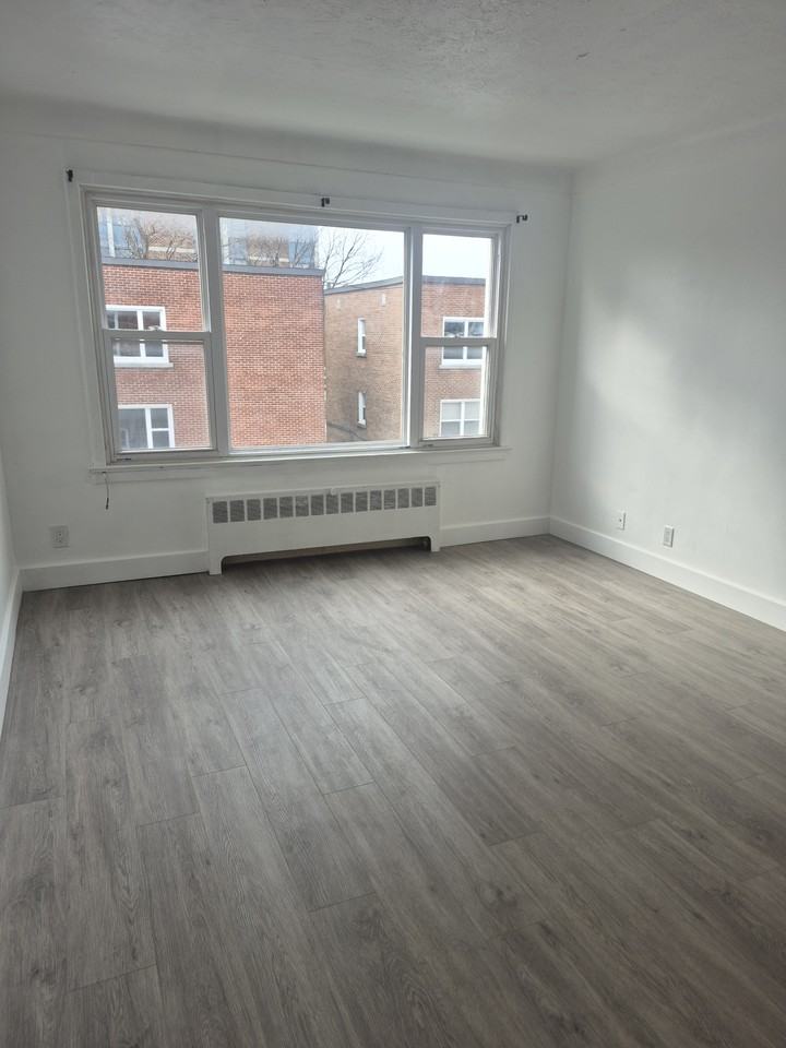 649 Rideau St - Photo 4 of 10