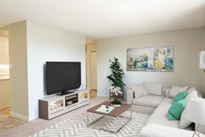 featured image of 838 Cavalier Dr