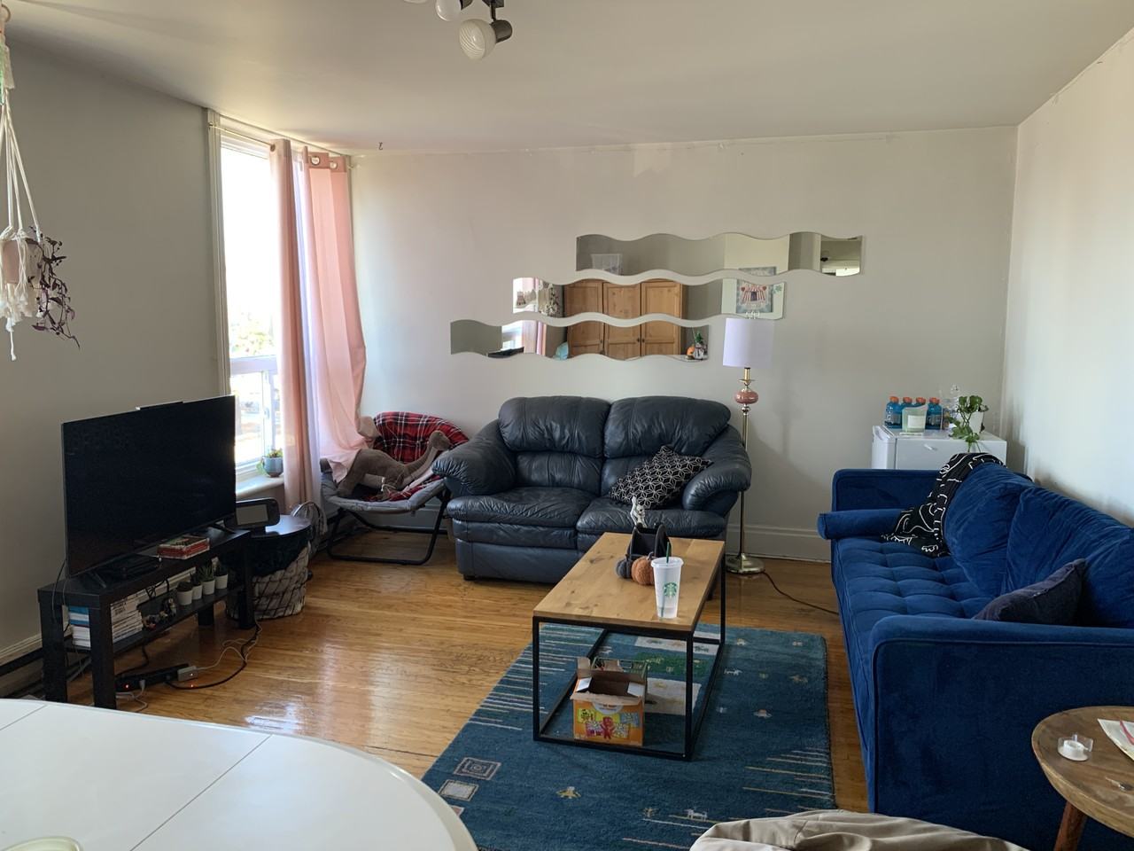 301 - 307 Barrie Street - Photo 5 of 21