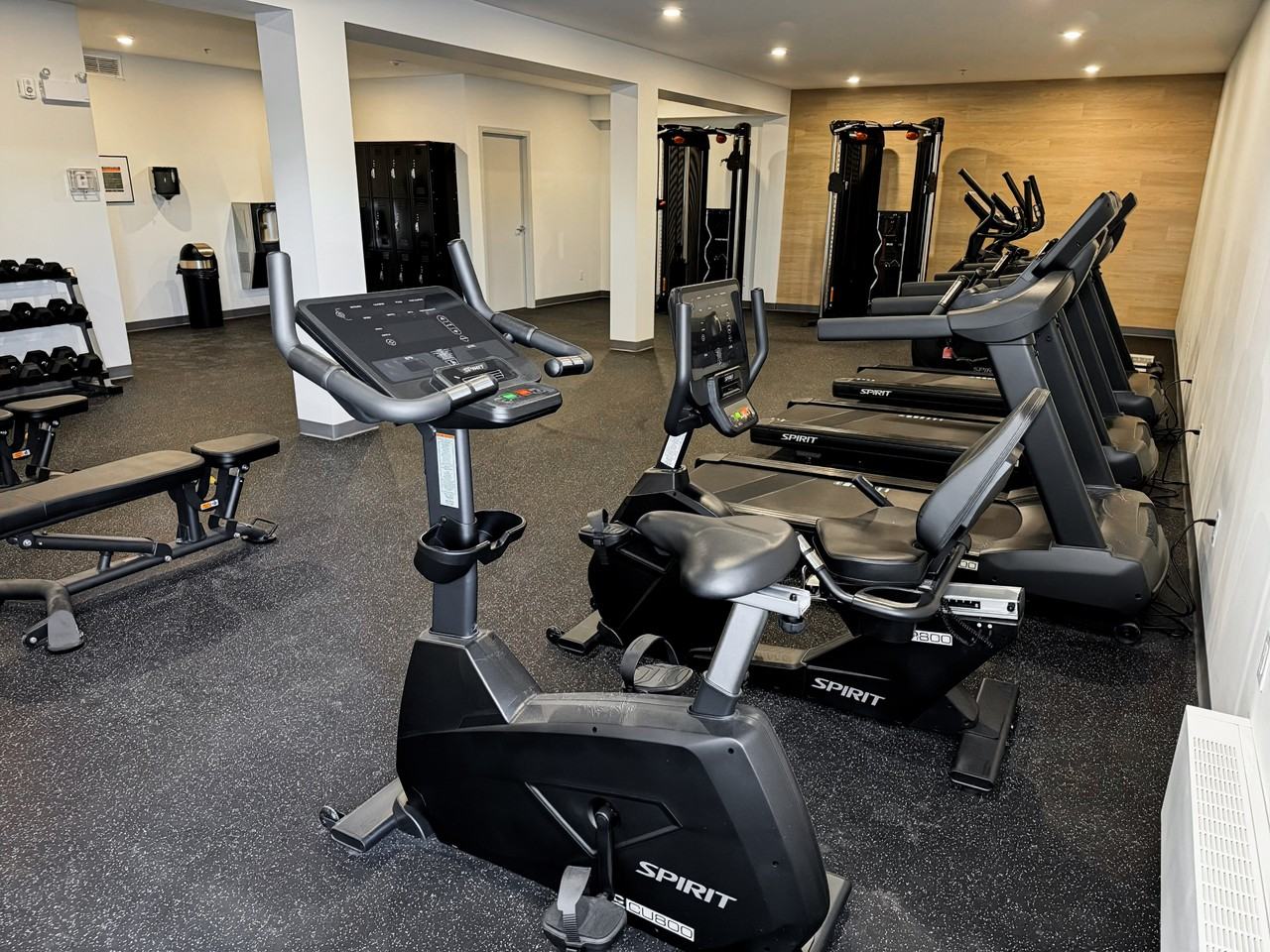 The Taylor Apartments - Photo 3 of 21