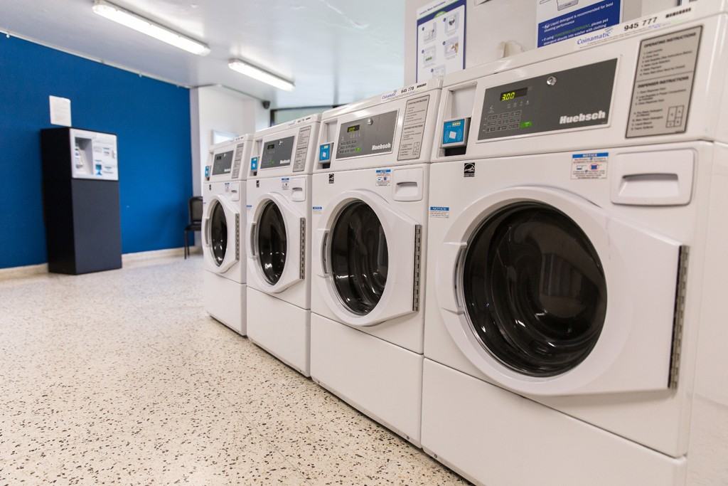 Apartment for rent at 1B Richview Road - Photo 3 of 23