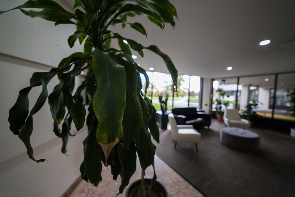 Apartment for rent at 1B Richview Road - Photo 6 of 23