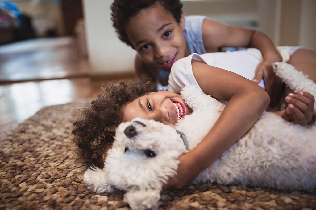 South Centrepointe - Photo 3 of 26