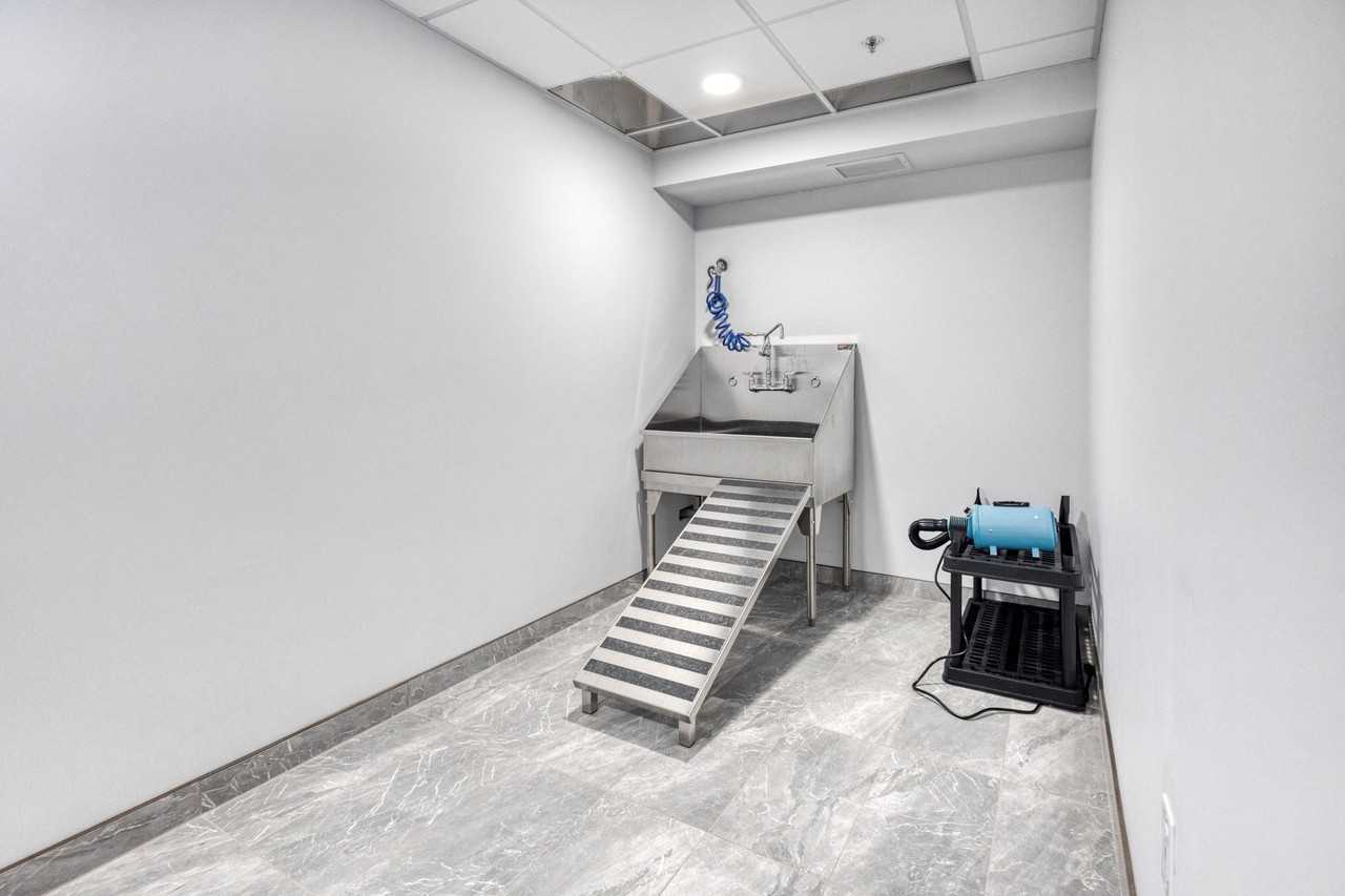 1033 Autumnwood Drive - Photo 6 of 28