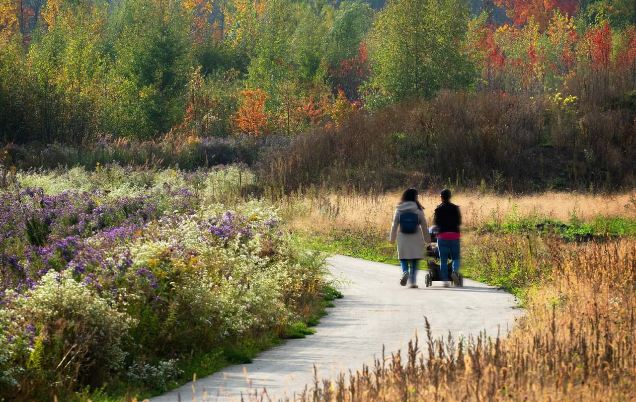 Lilythorne Zens - Photo 3 of 7