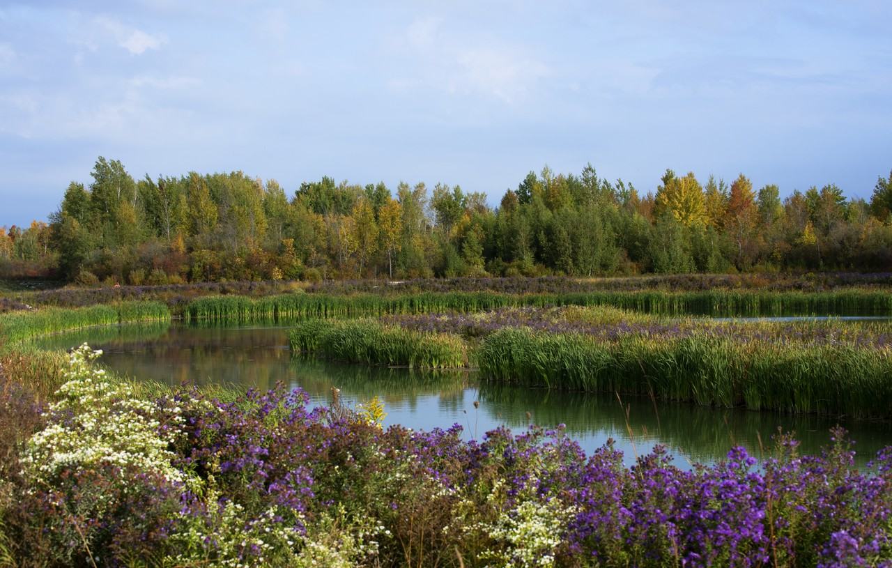 Lilythorne Zens - Photo 4 of 7