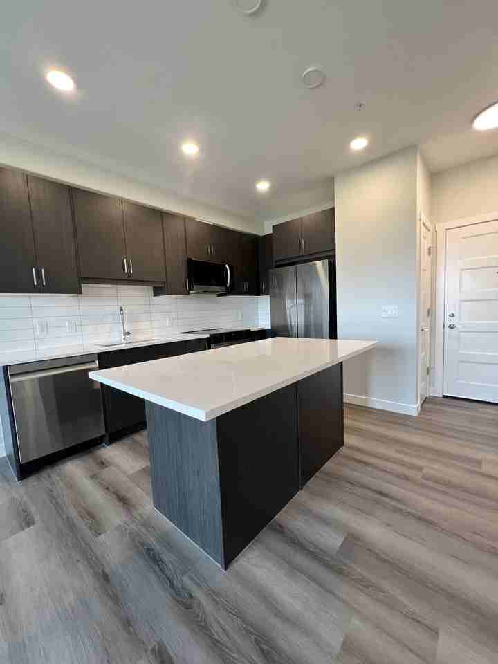 Bow 360 - Photo 4 of 50