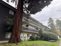 Alderwood - Photo 1 of 1