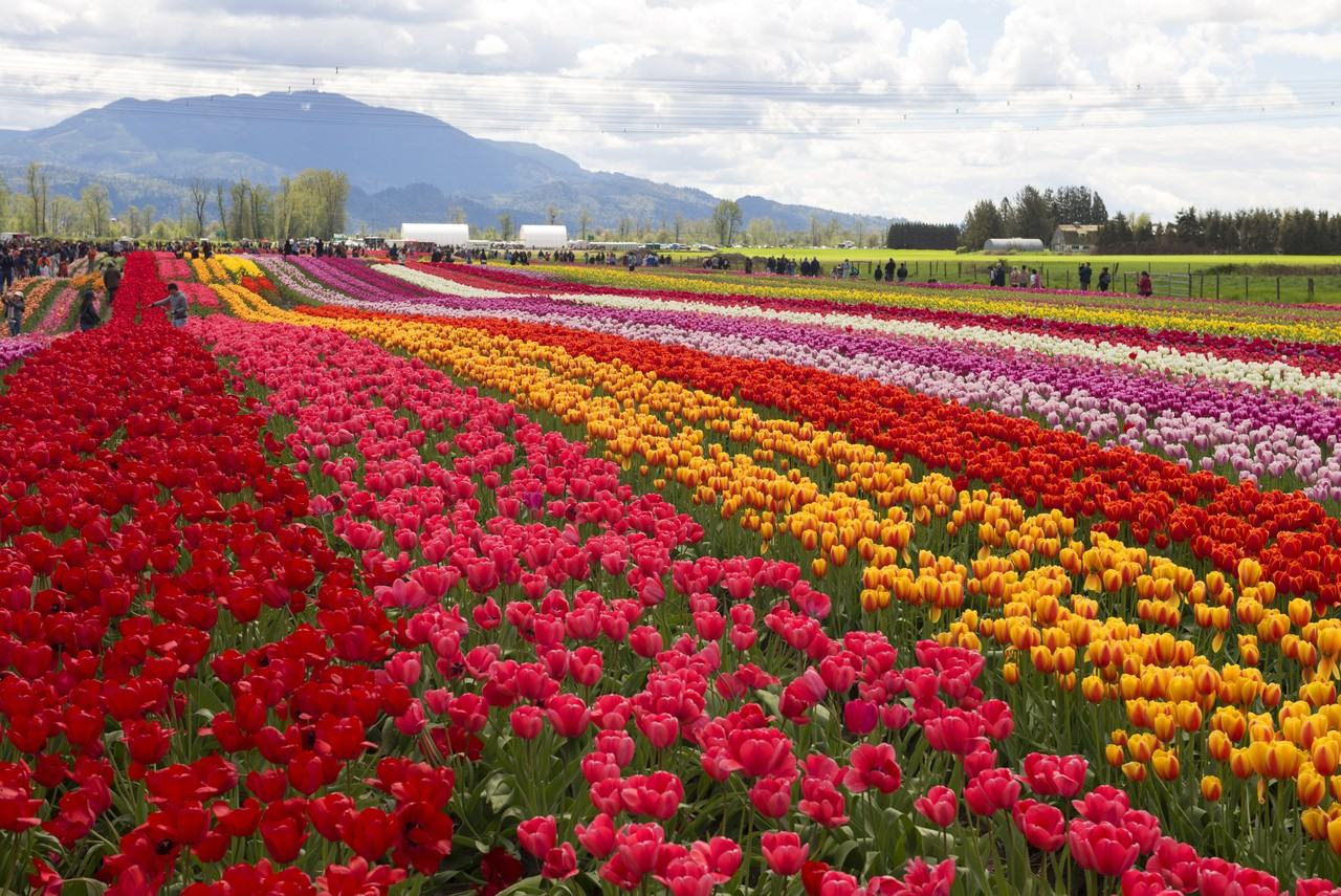 Skyside Residences - Photo 3 of 13