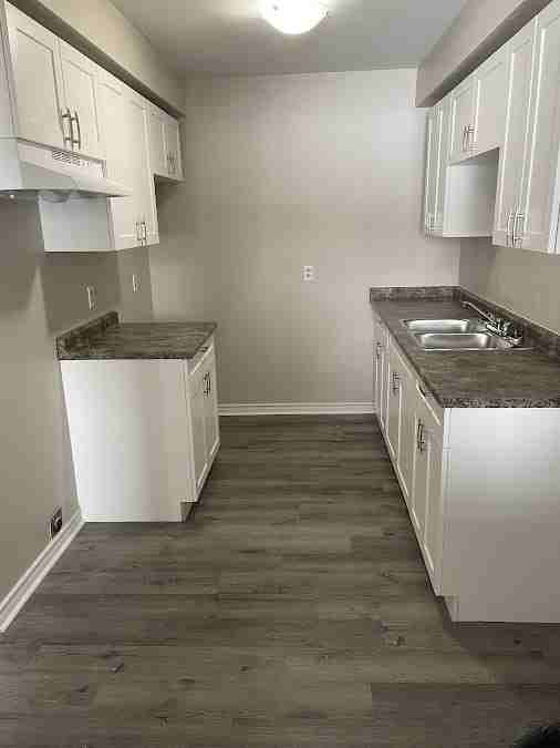 195 Denistoun Street - Photo 6 of 15