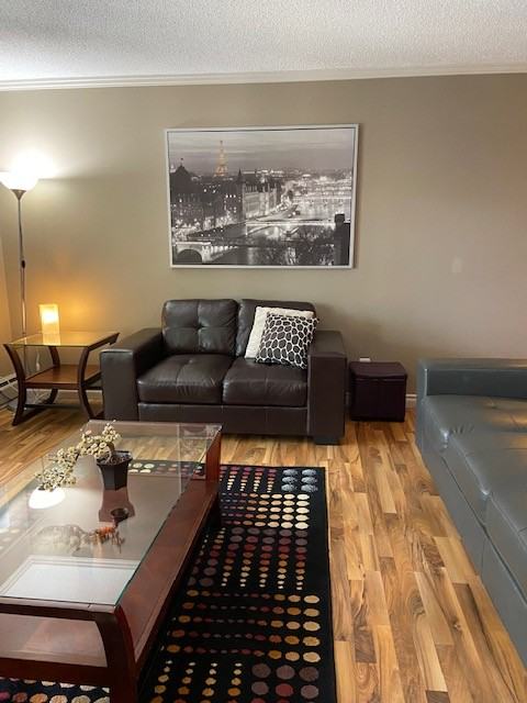 10633 81 Avenue - Photo 2 of 19