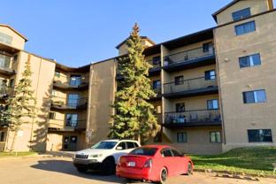 Rosedale Court - Photo 1 of 1