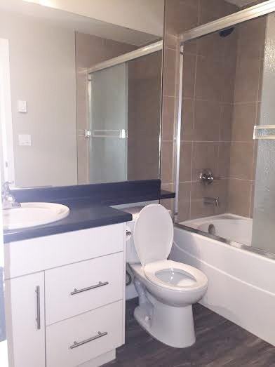 2 Bedroom | 1 Bathroom | Lower Unit 1126B Hargreaves Way - Photo 3 of 7