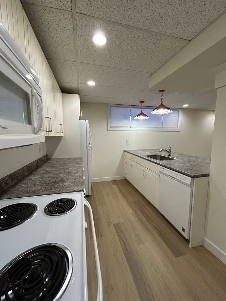 3 Bedroom | 1 Bathroom | Lower Unit 1536 Avenue G North - Photo 4 of 17