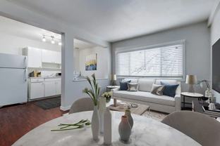 Casablanca & Casanova Apartments - Photo 1 of 1