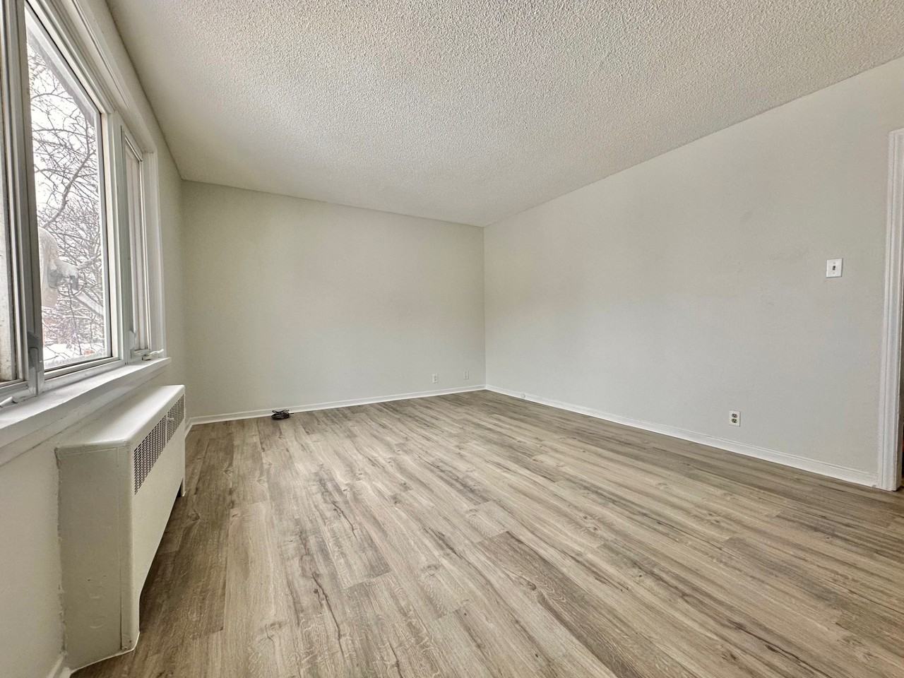 3 Marmora Street - Photo 4 of 18