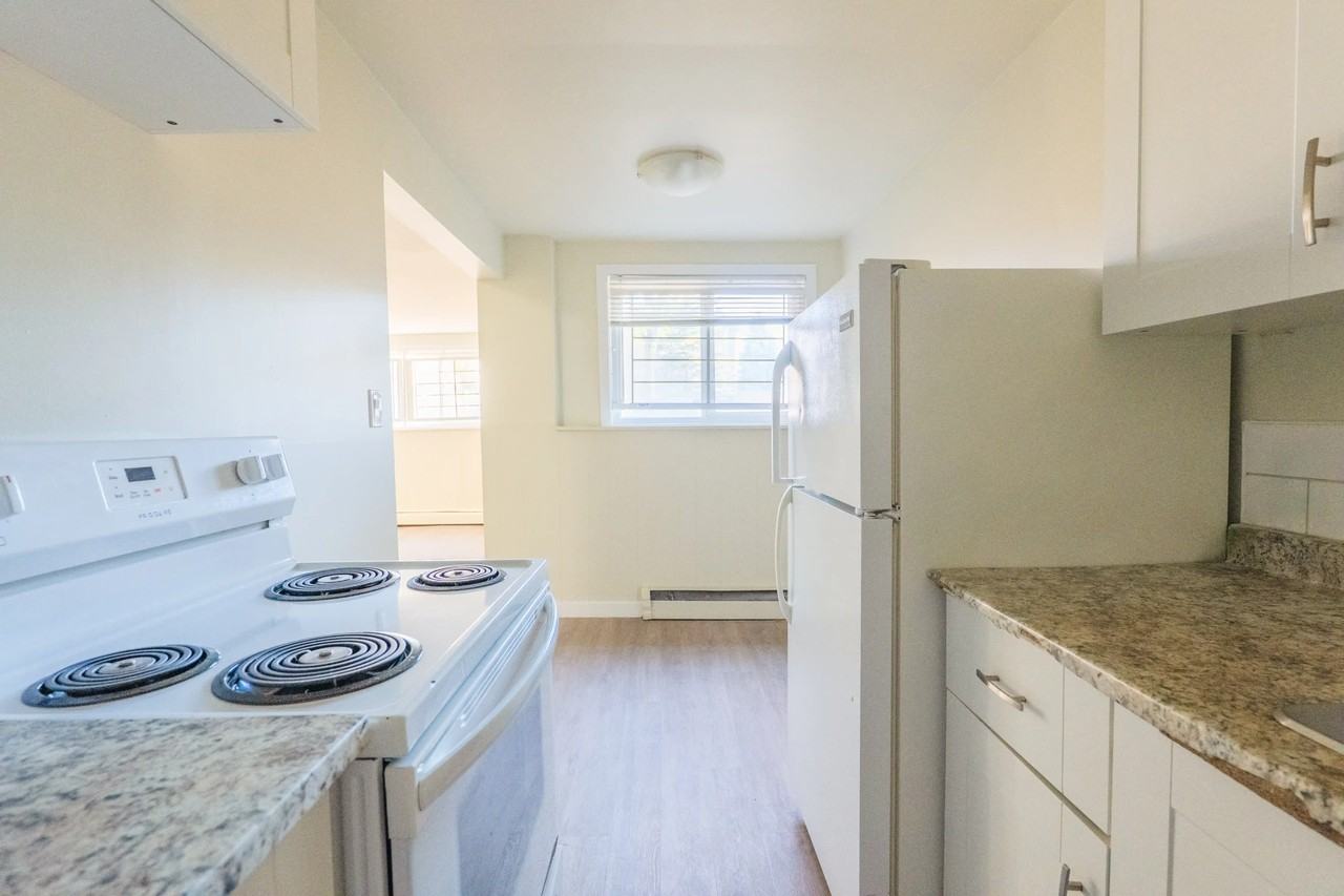 Shannon Villa - Photo 2 of 50