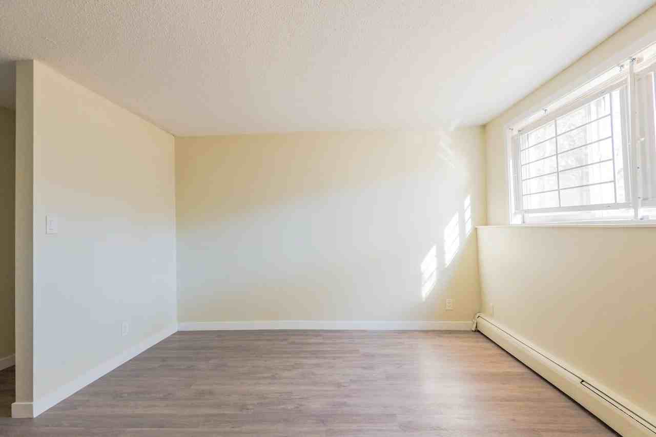 Shannon Villa - Photo 4 of 50