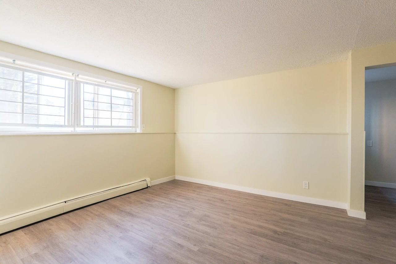 Shannon Villa - Photo 6 of 50