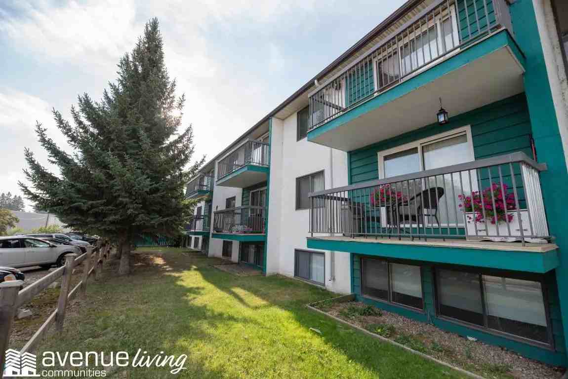 Eldor Place - Photo 6 of 8