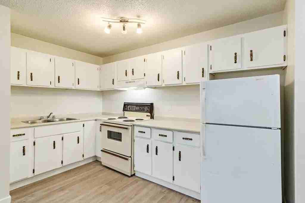 King Art - Photo 5 of 25