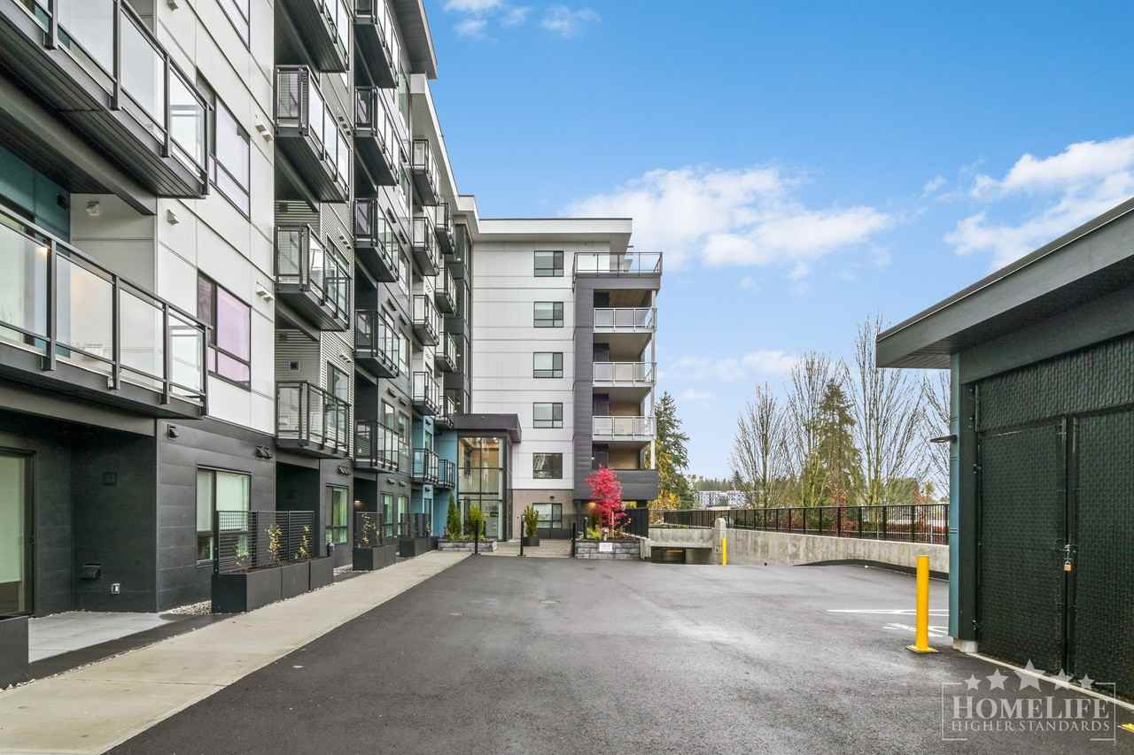 33886 Pine St - Photo 3 of 23