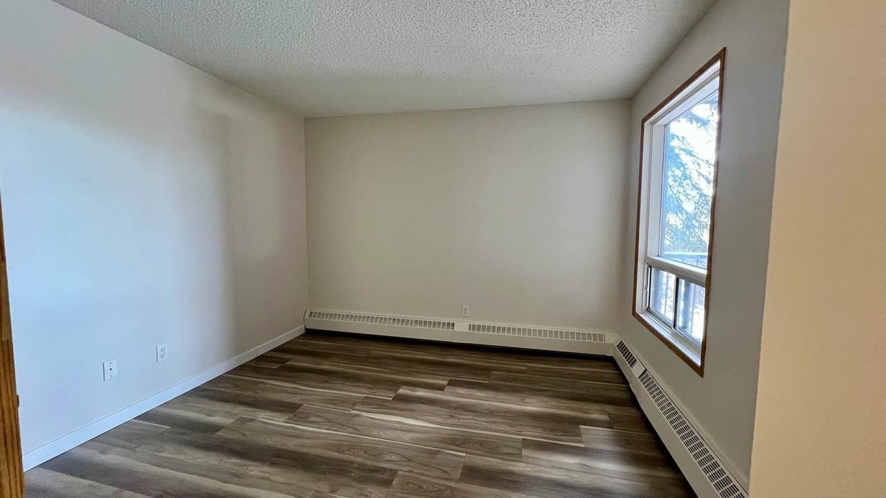 Cameron County - Photo 6 of 37