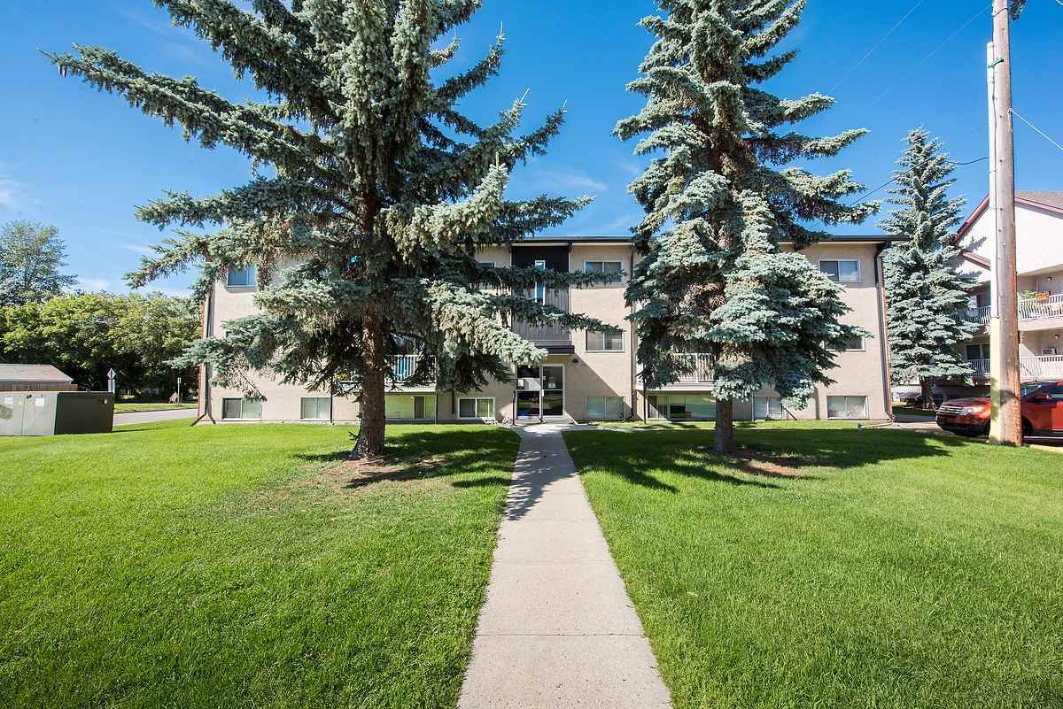 Plaza Apartments - Photo 6 of 35