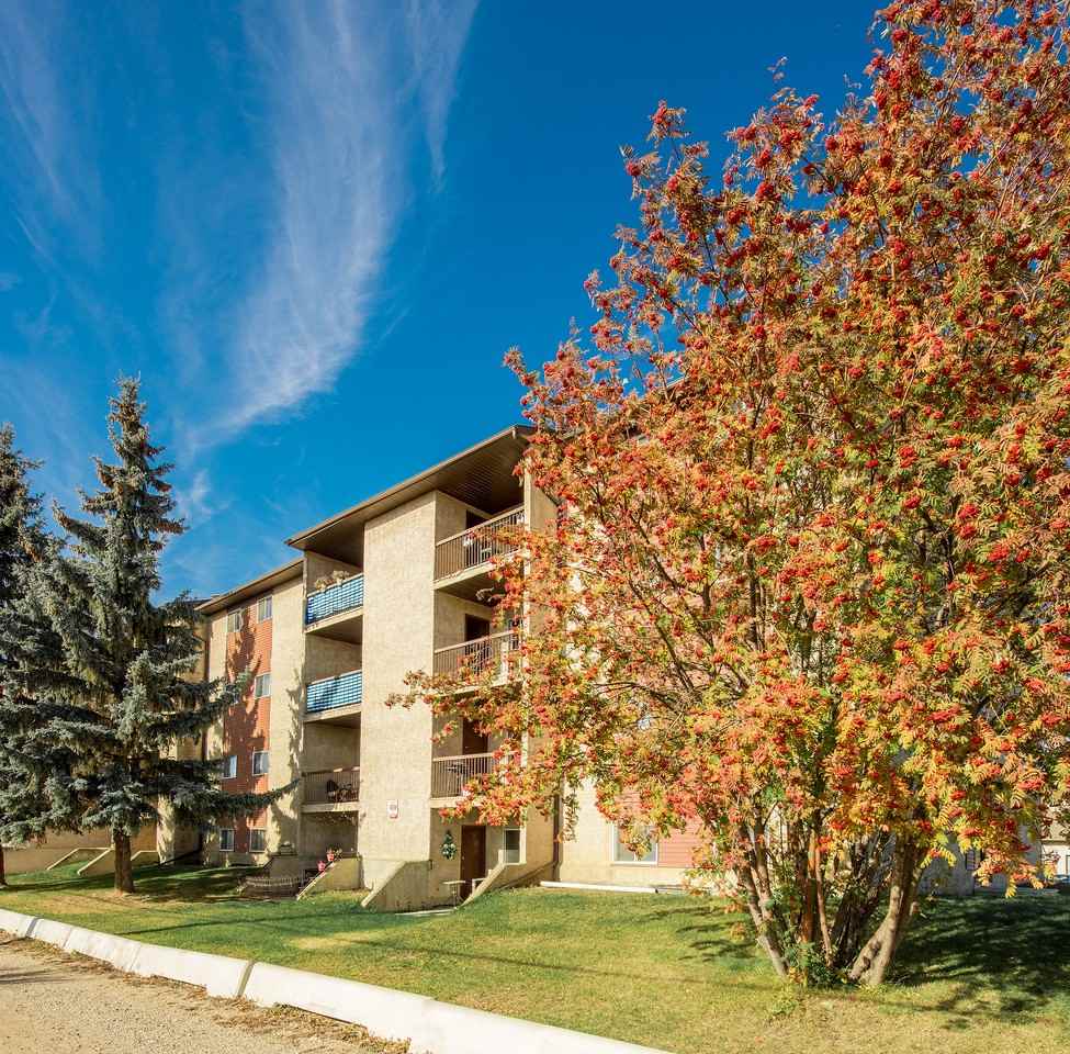 Westview Manor - Photo 5 of 22