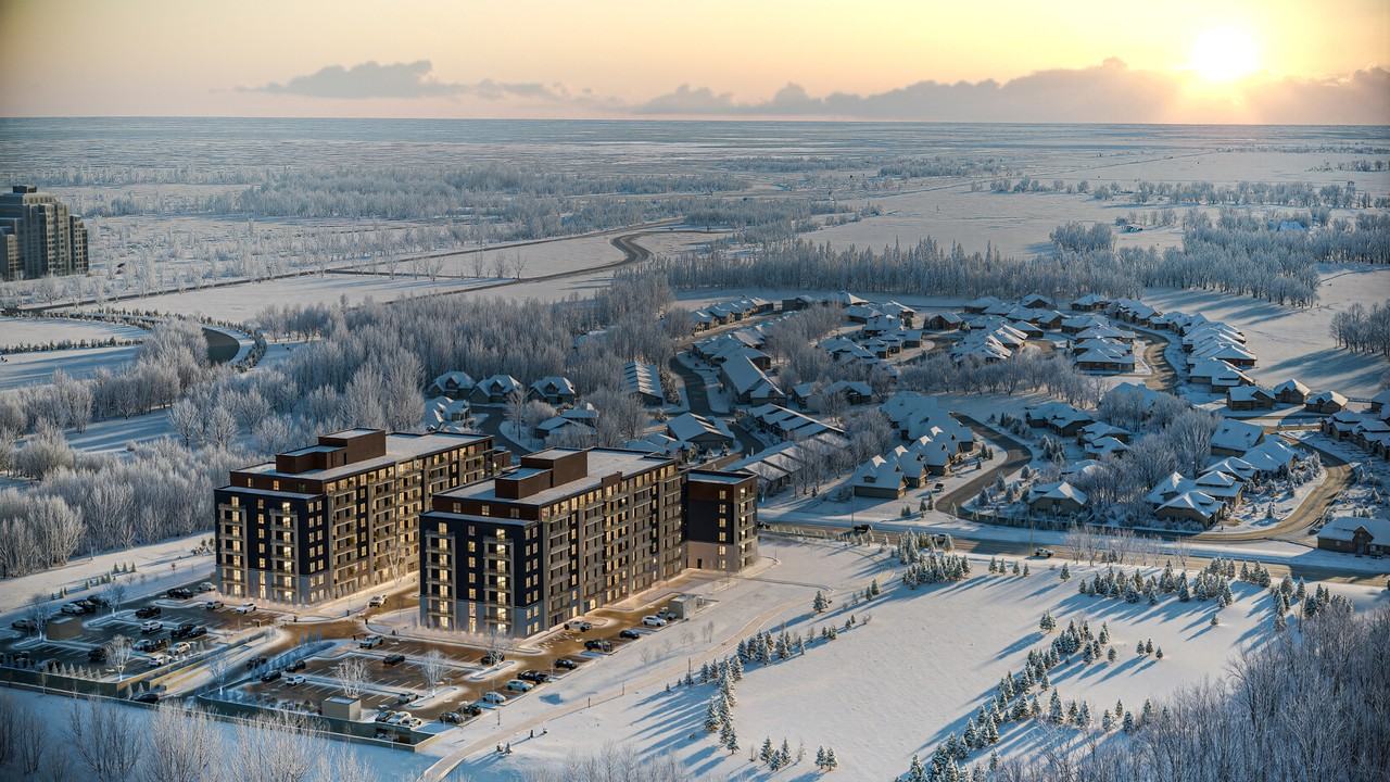 Aurora - Photo 3 of 12