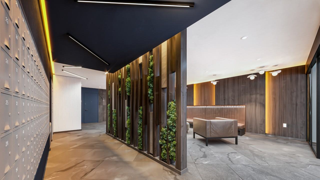 Aurora - Photo 5 of 12