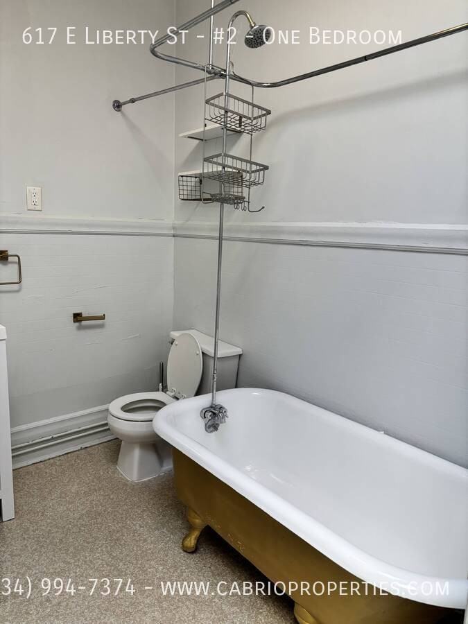 617 E. Liberty St. - Photo 2 of 27