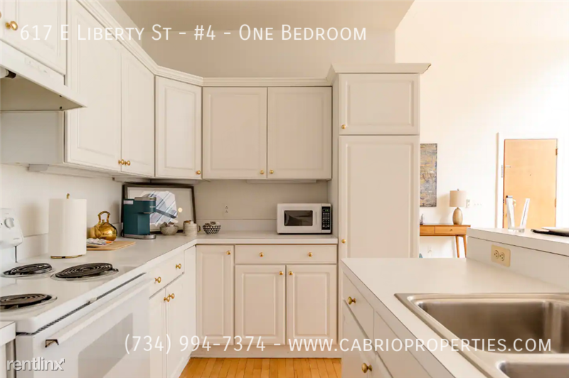 617 E. Liberty St. - Photo 4 of 11