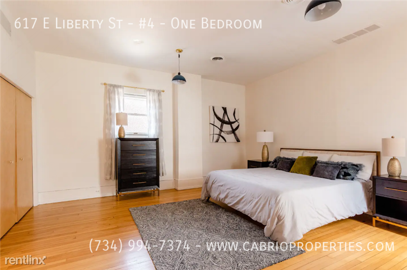 617 E. Liberty St. - Photo 6 of 11