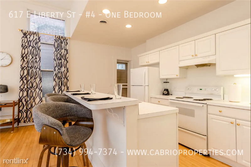 617 E. Liberty St. - Photo 7 of 11