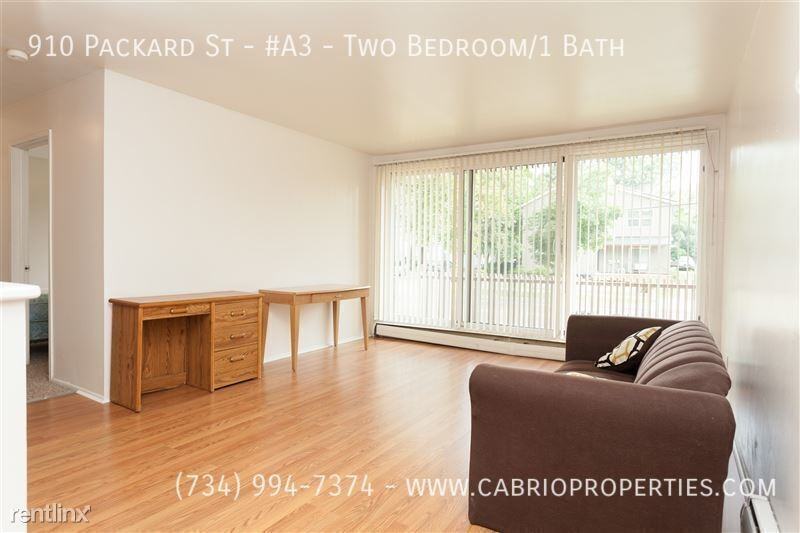 910 Packard St. - Photo 2 of 23