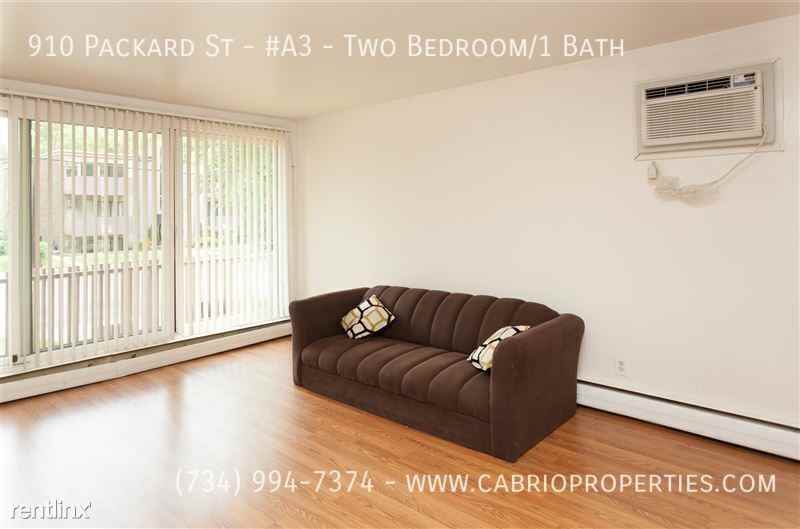 910 Packard St. - Photo 4 of 23