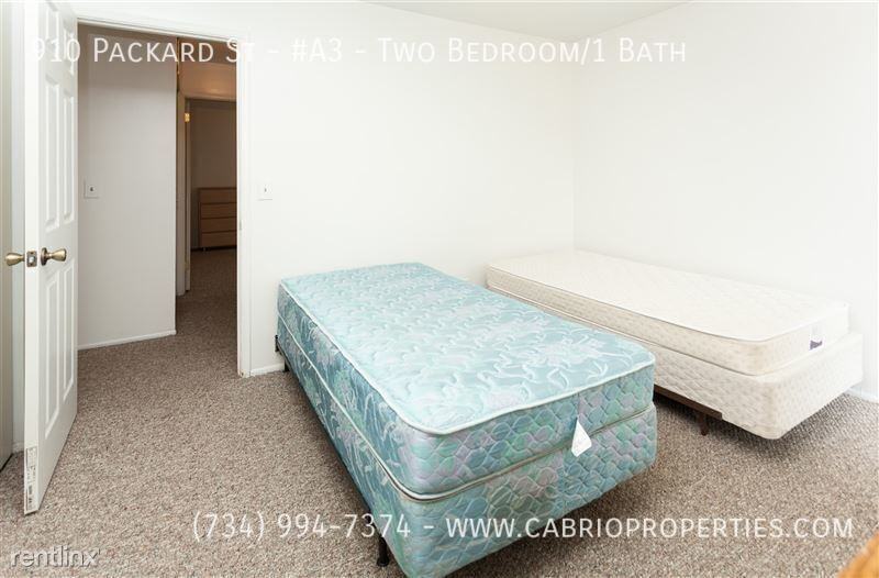 910 Packard St. - Photo 5 of 23