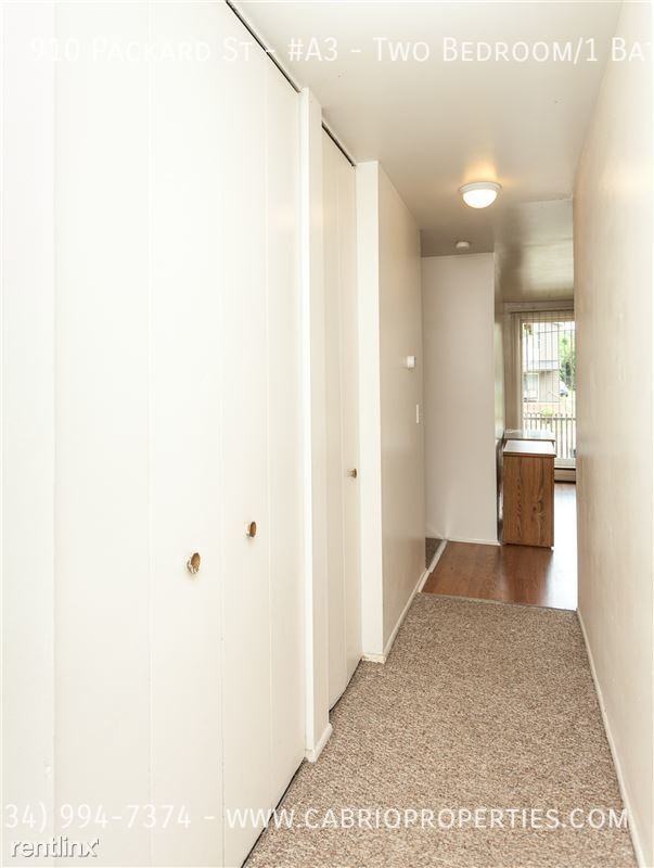 910 Packard St. - Photo 6 of 23