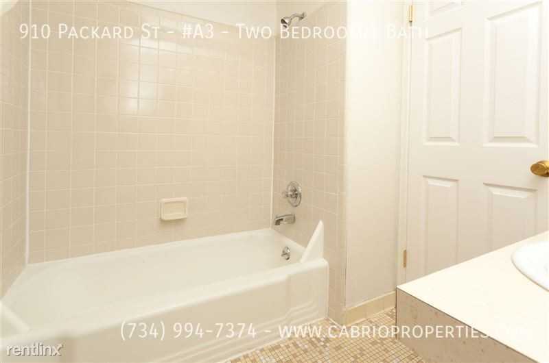 910 Packard St. - Photo 7 of 23