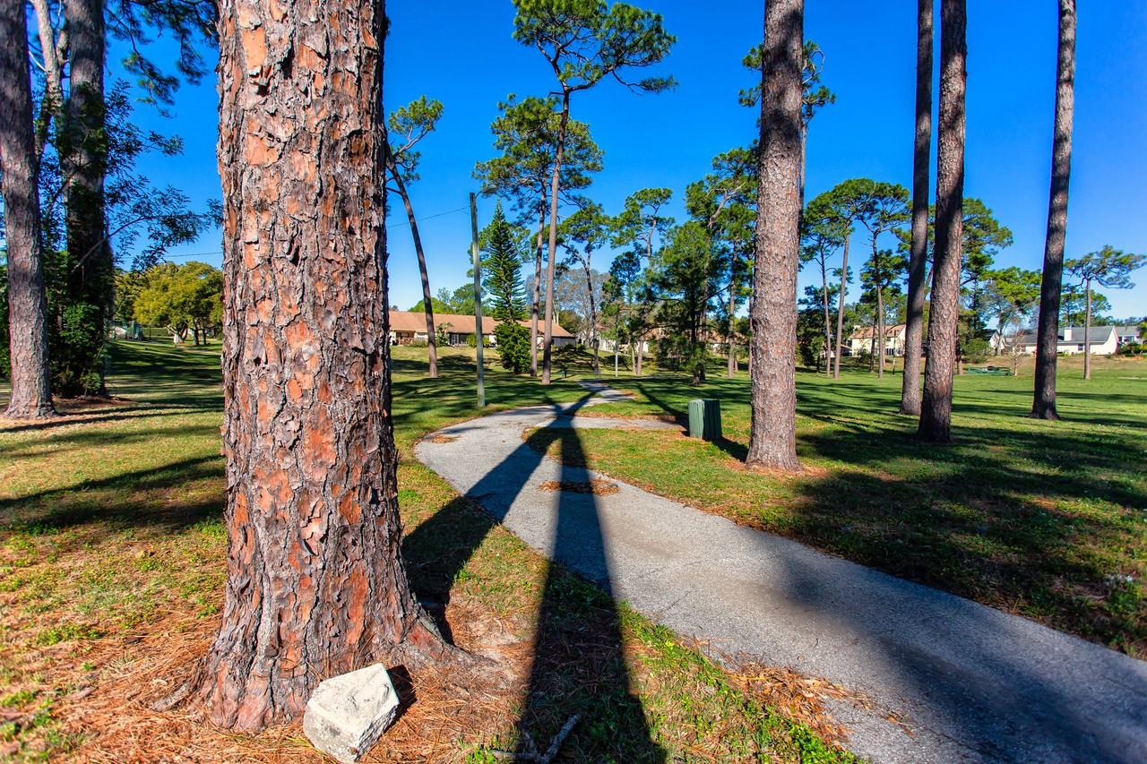 2411 Bentley Drive - Photo 6 of 40