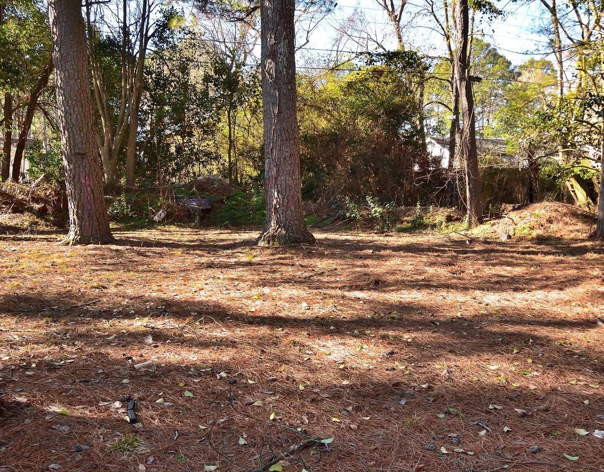 1577 Charter Dr - Photo 3 of 17