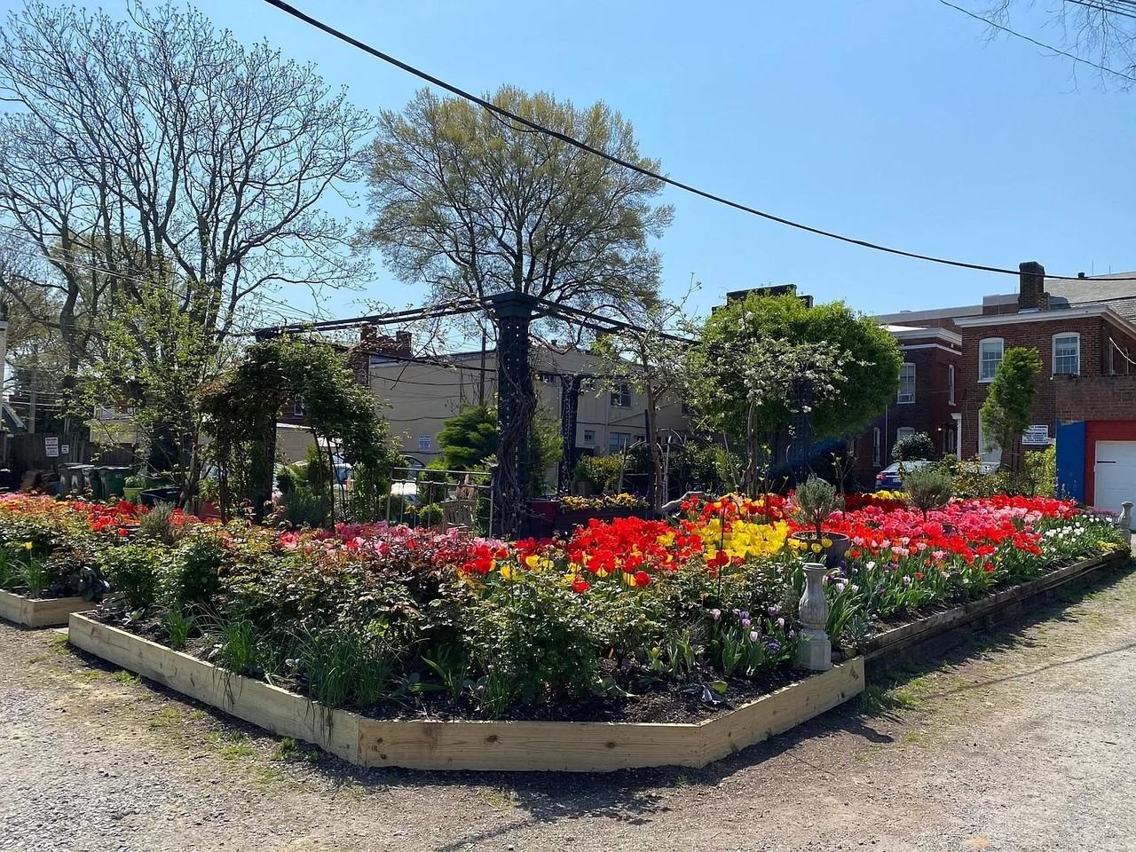 Grove Ave 2602 - Photo 5 of 34