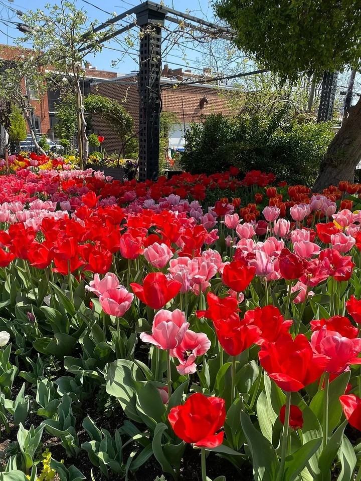 Grove Ave 2602 - Photo 6 of 34