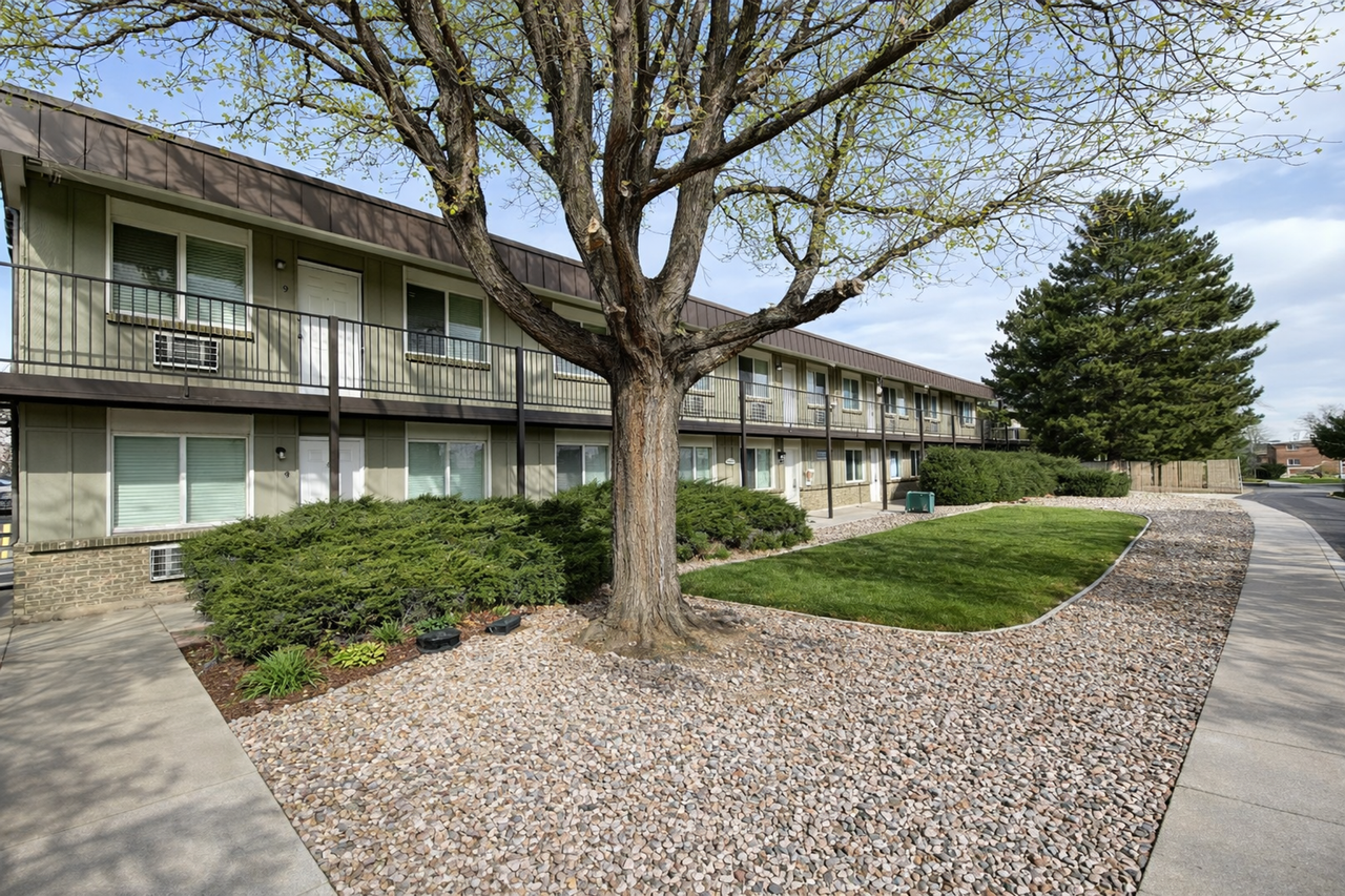 Carmen Rosa - Photo 2 of 37